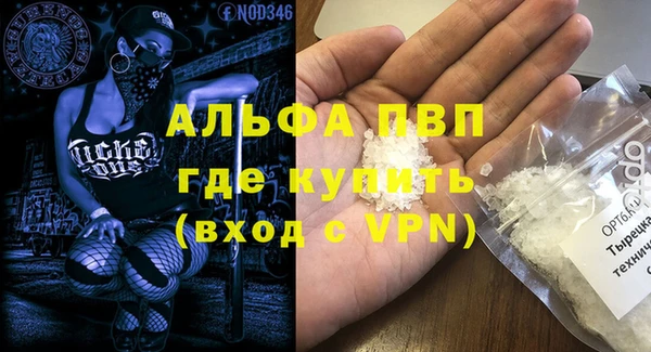 эйфоретик Майский