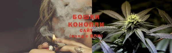 эйфоретик Майский