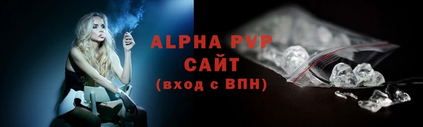 эйфоретик Майский