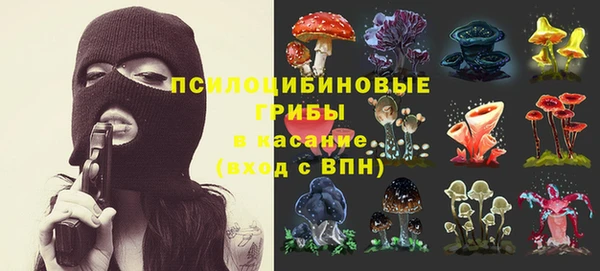 эйфоретик Майский