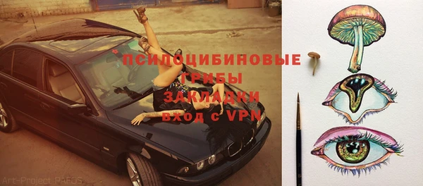 эйфоретик Майский