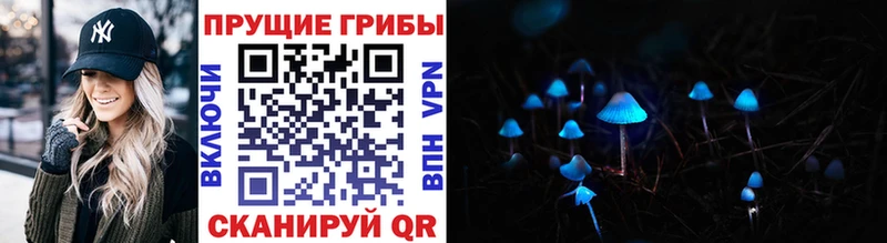 Псилоцибиновые грибы GOLDEN TEACHER  купить наркотик  Щучье 